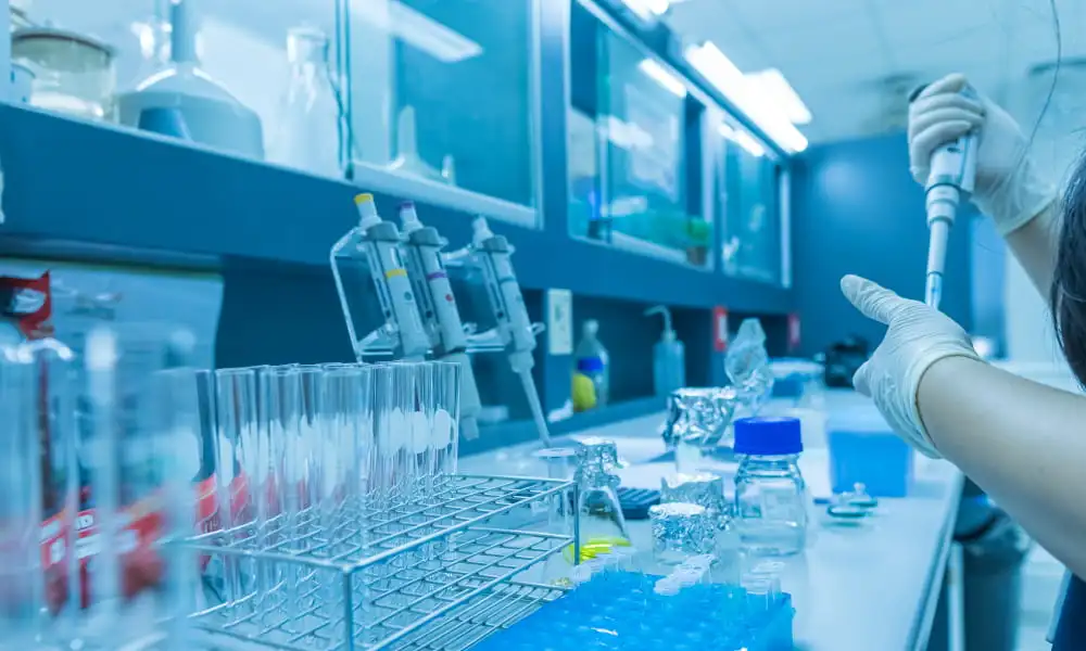 Why Discovery-to-CMC Continuity Matters in Antibody Drug Development